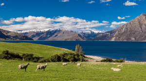 Beeindruckende Natur am See Nawea in Neuseeland
